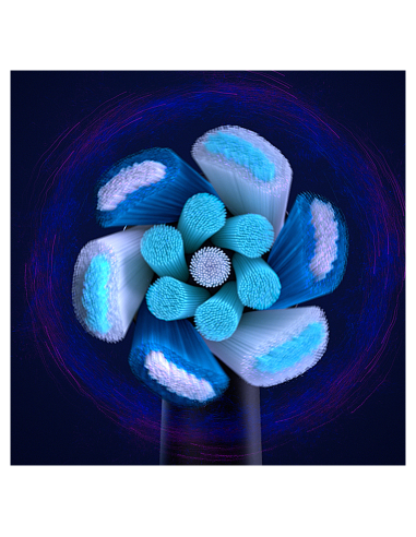 CB-6 Oral-B iO Ultimate Clean Black XL...