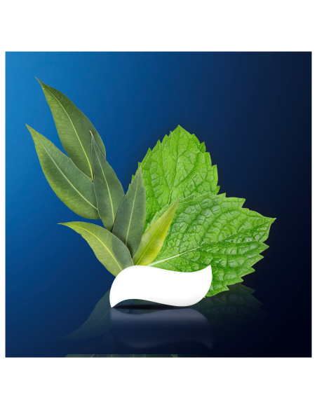 Oral-B Professional Regenerate Enamel Gentle Whitening 75ml Dantų pasta