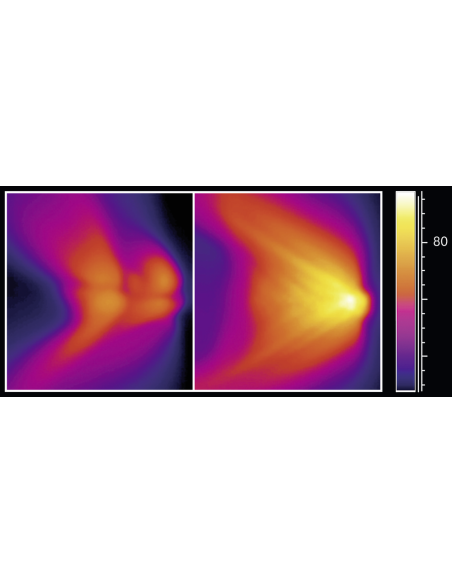 AS720 Satin-Hair koolutaja